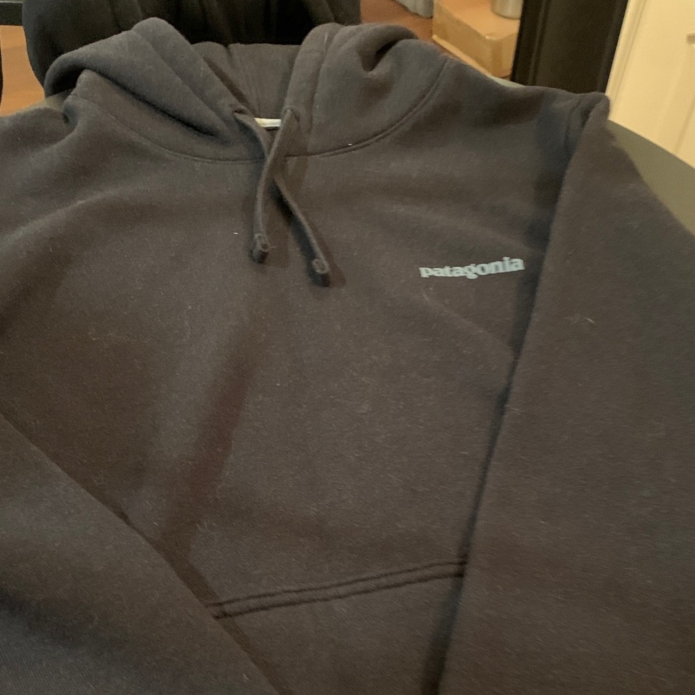 Patagonia Skyline 73 Uprisal Hoodie